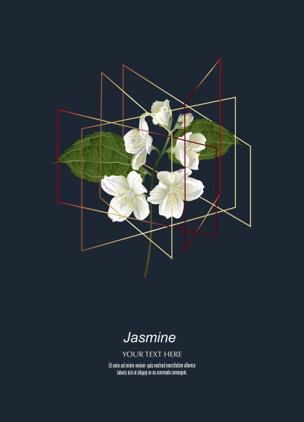 简约浪漫婚礼装饰场景