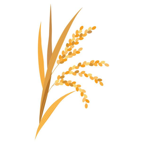 艺术麦穗矢量