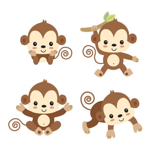 monkey