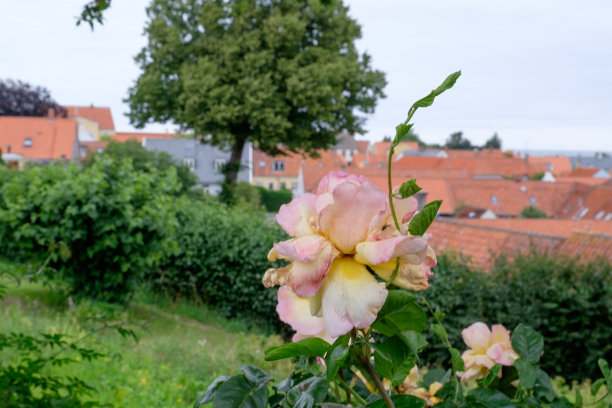 bornholm