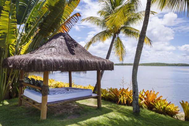 芭蕉叶沙发背景