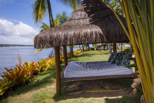 芭蕉叶沙发背景