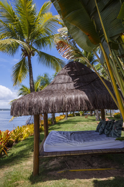 芭蕉叶沙发背景