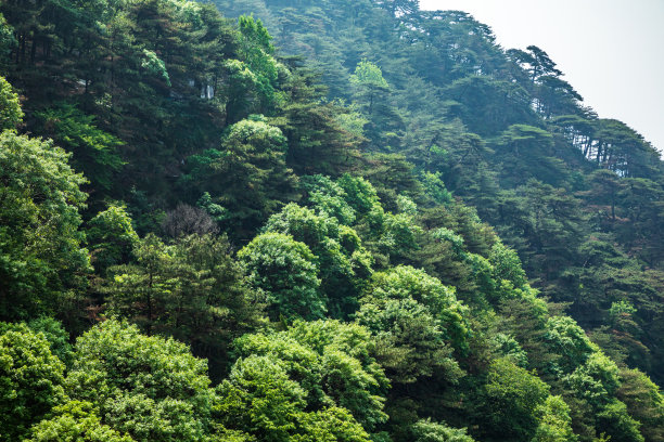 台山