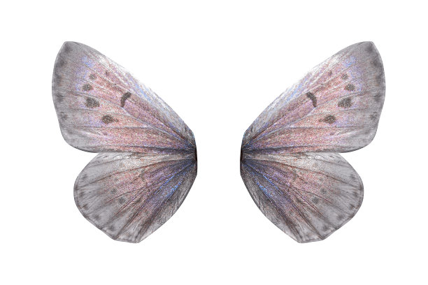 morpho