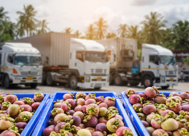 logistics