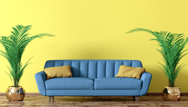 芭蕉叶沙发背景