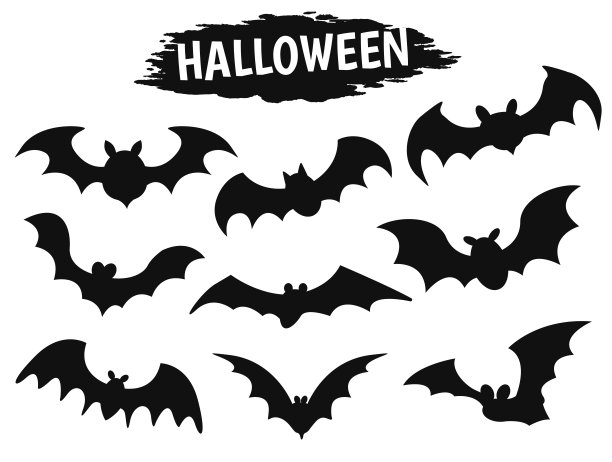 bat