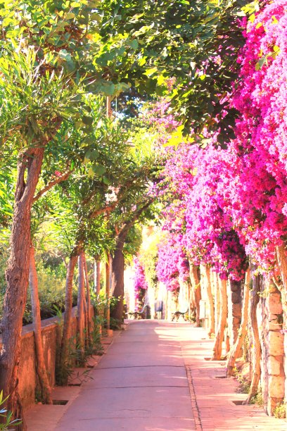 avenue