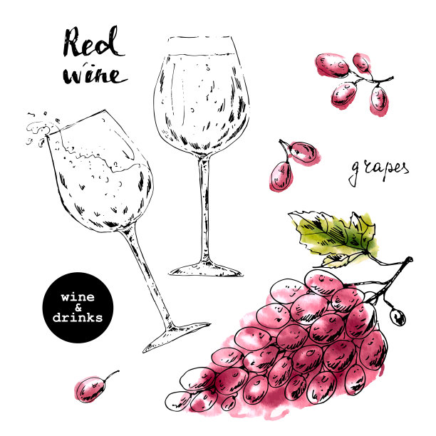 红酒葡萄酒线描包装插画
