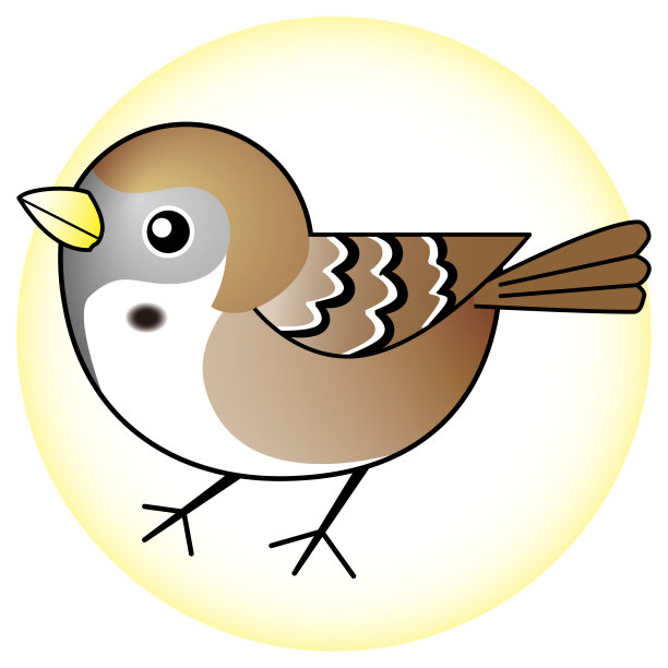sparrow