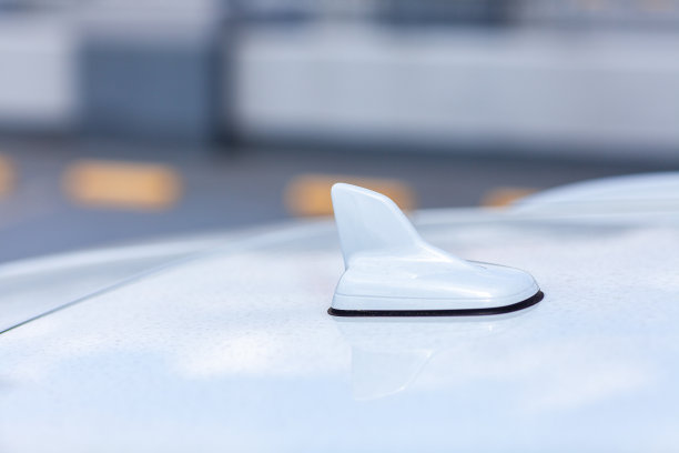 fin