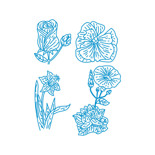 请柬,花簇,植物