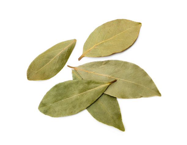 laurel