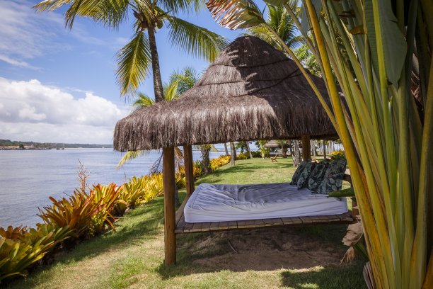 芭蕉叶沙发背景