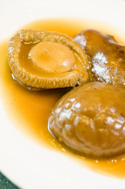 abalone