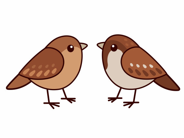 sparrow