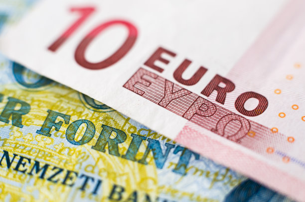 euro