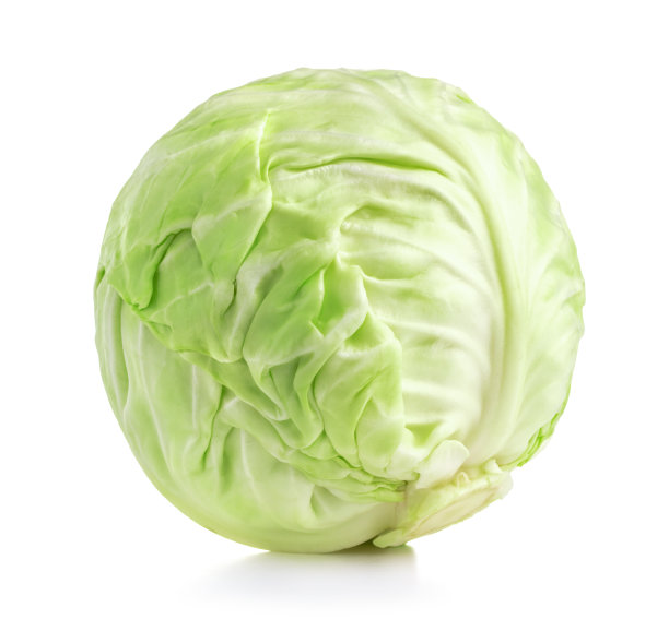 十字花科,甘蓝,清新
