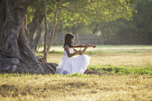 violin