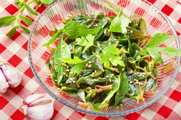欧芹,生菜,草本