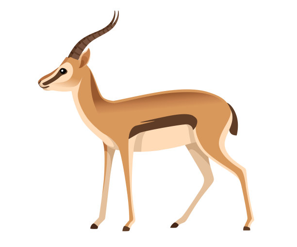 antelope