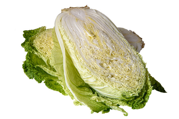 十字花科,生菜,甘蓝