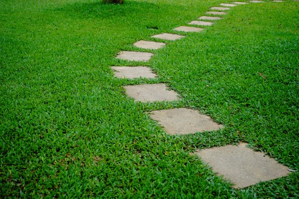 pathway