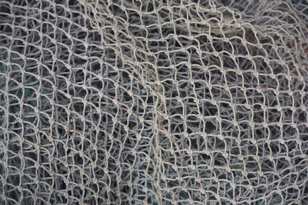 net