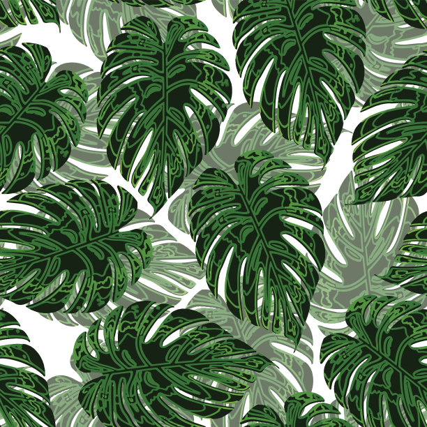 栀子花装饰背景花卉