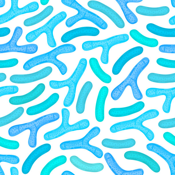 bacteria