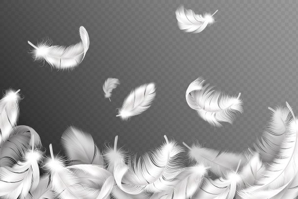 feathers