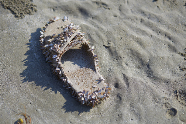 海洋垃圾拖鞋凉鞋