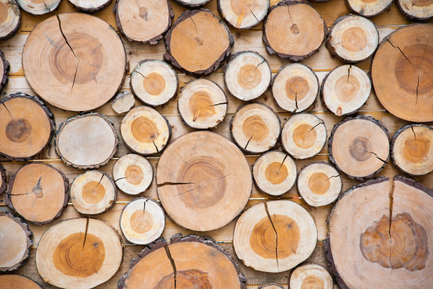 木材,圆木,硬木
