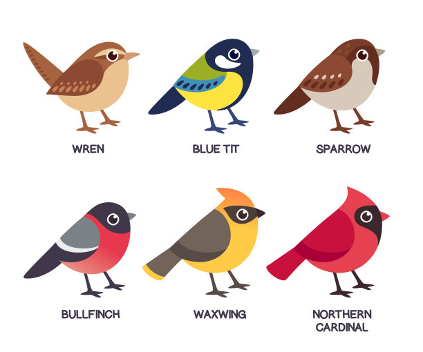 sparrow