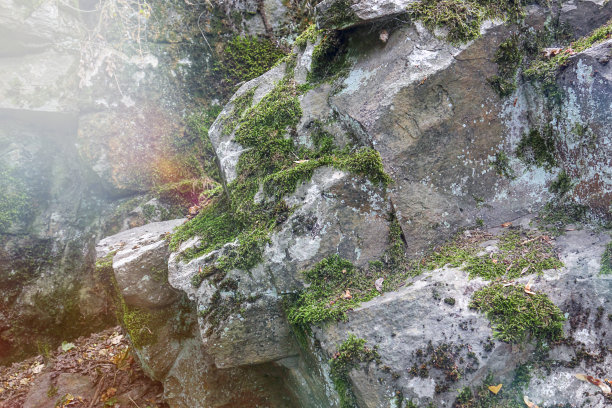 岩石 石头 山石 表面 贴图