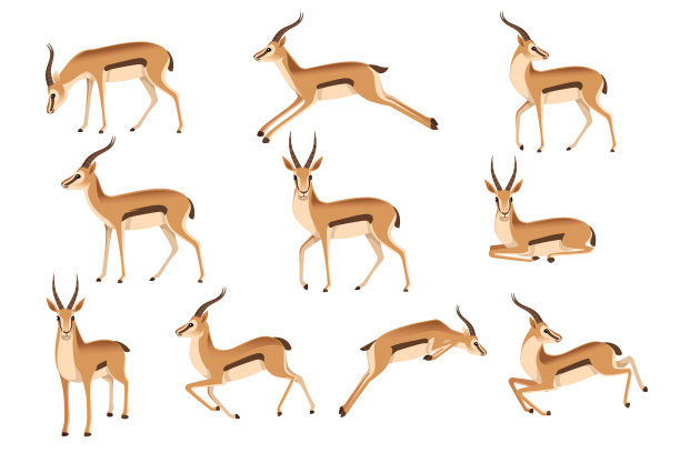 antelope