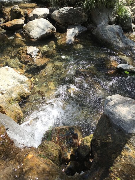 夏季户外大山里流淌的溪流