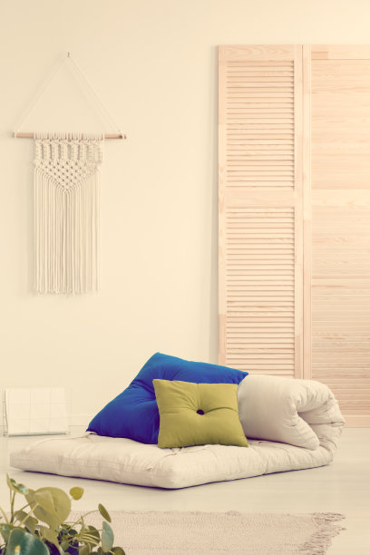 cushion