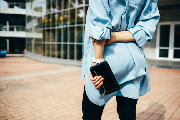 handbag