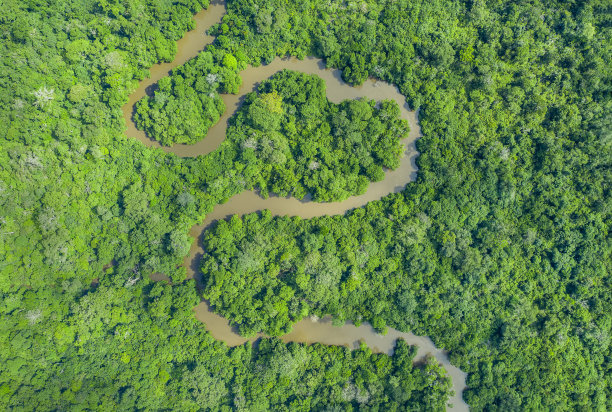 the