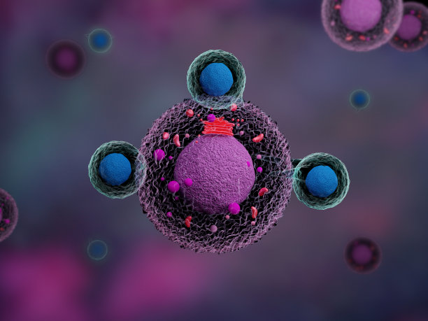 cd4