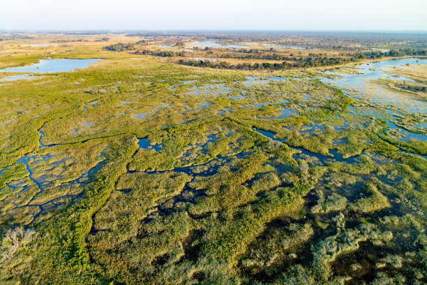 wetland