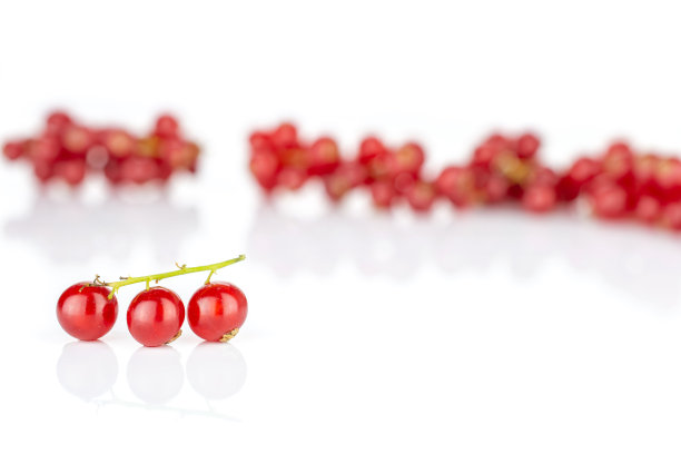 redcurrant
