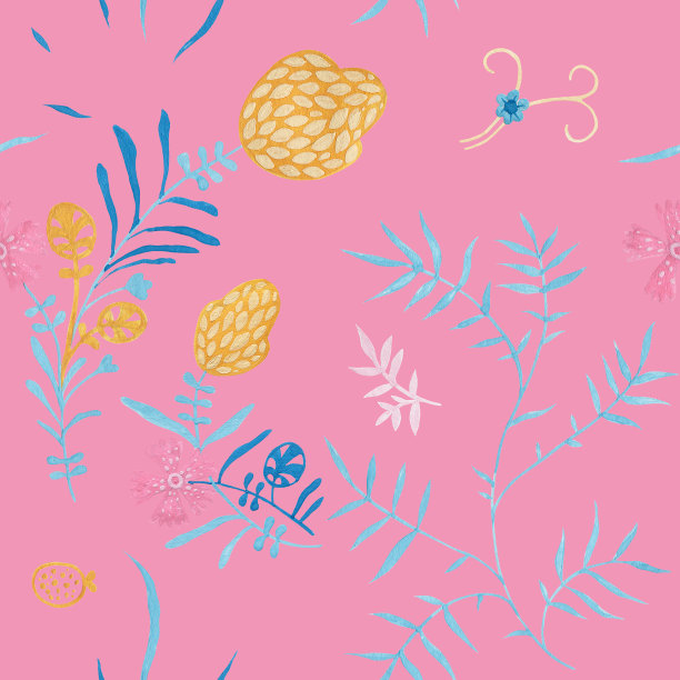 中草药菊花插画