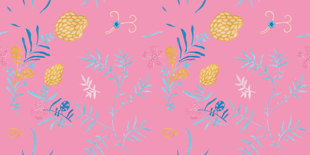 中草药菊花插画