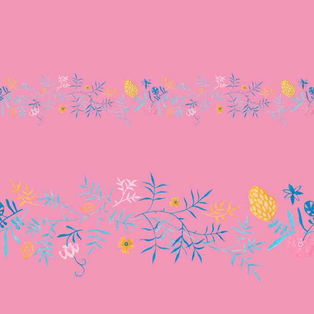 中草药菊花插画