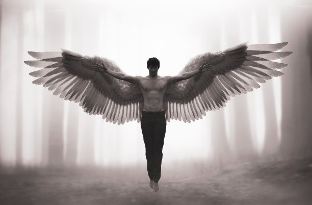 wings