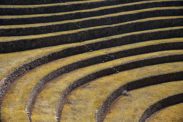 moray