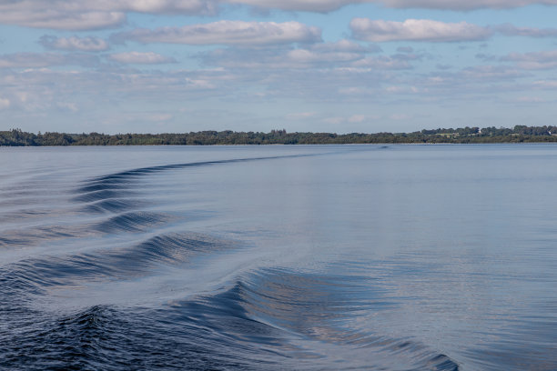 cong